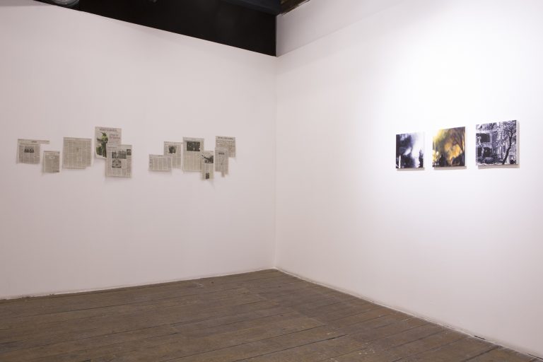 Photo: Exhibition view